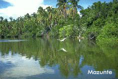 Viajes Jalietza te lleva a Mazunte